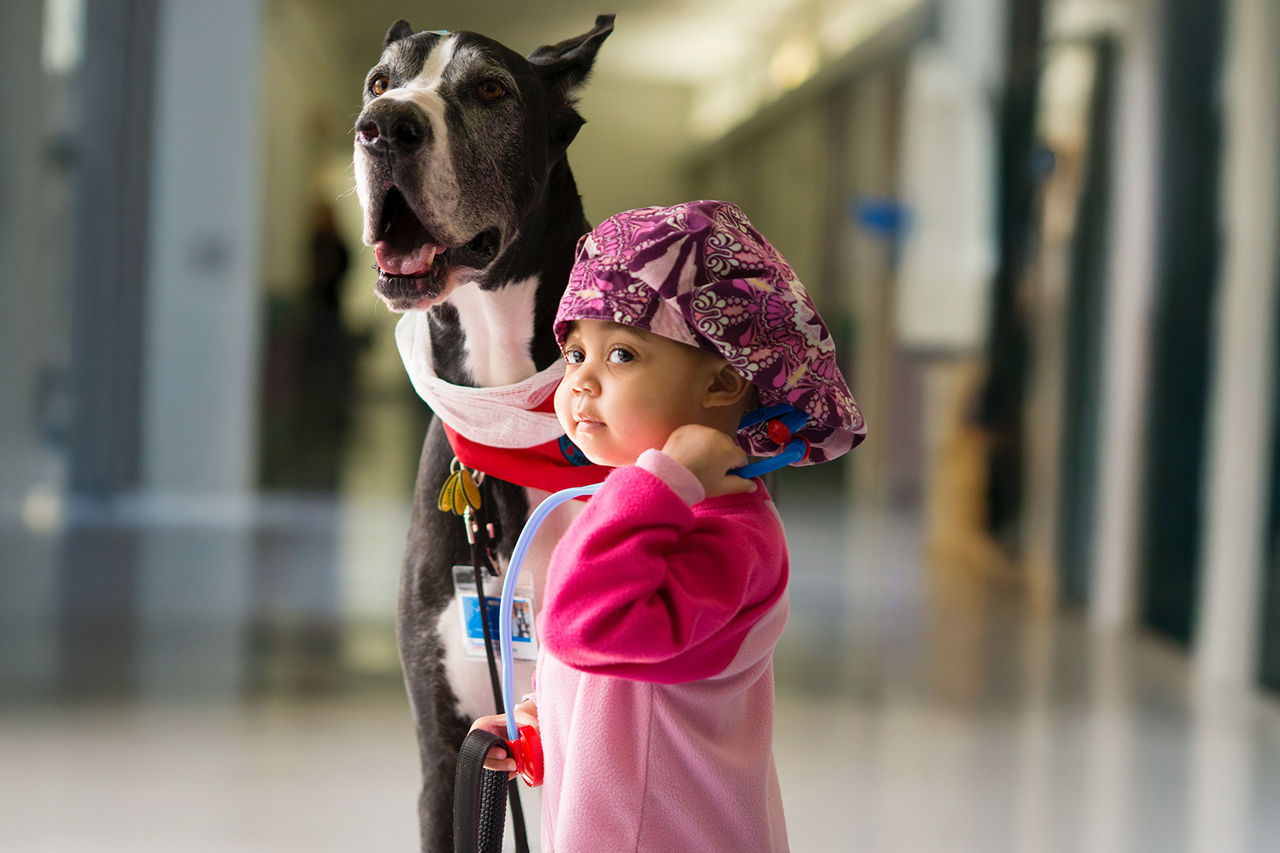 Una niña pequeña con un pañuelo en la cabeza junto a un gran danés