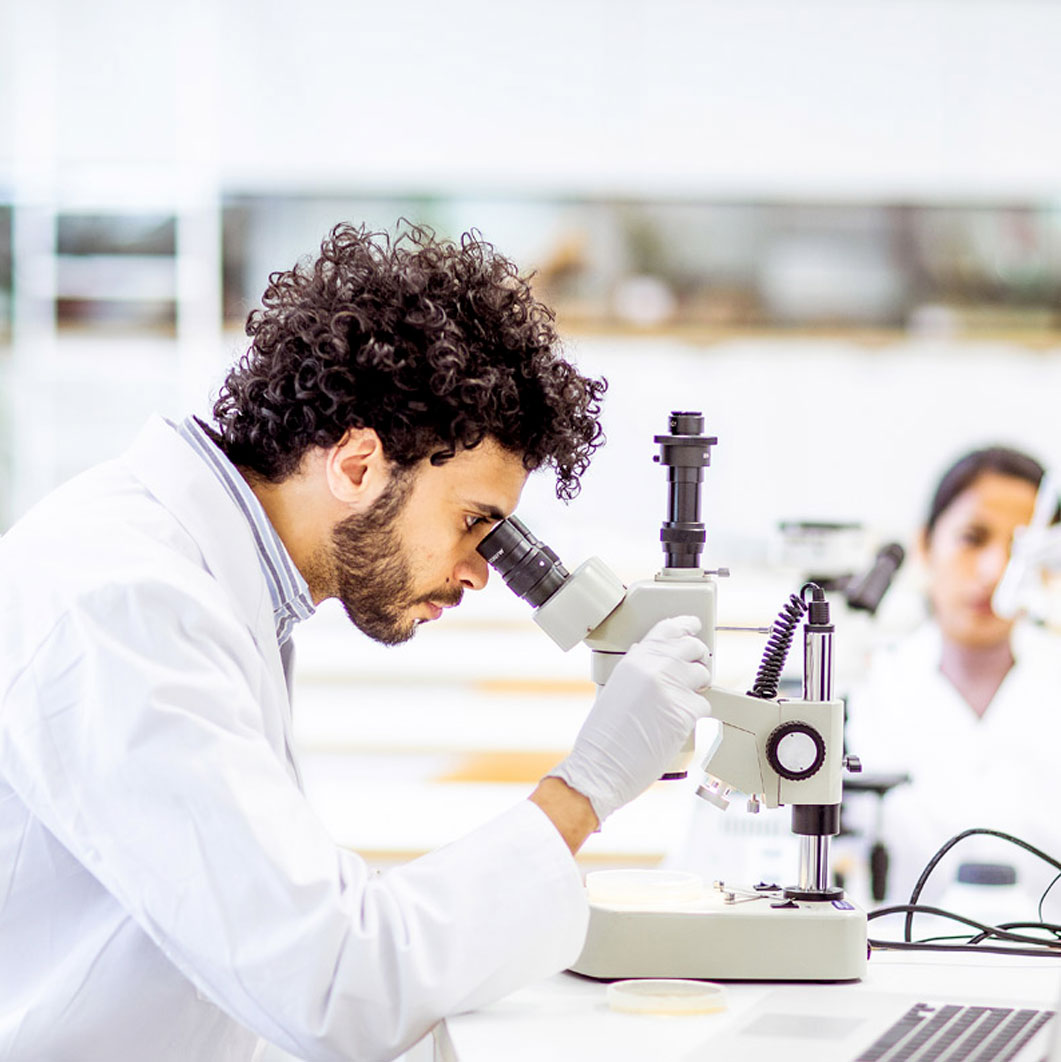 Two researchers in a lab wearing coats and gloves, one looks into a microscope. 