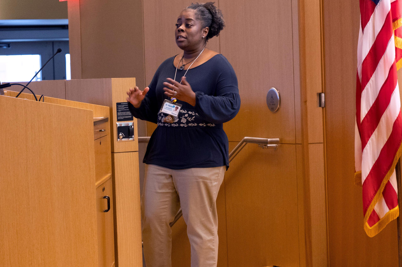 Presenter giving presentation