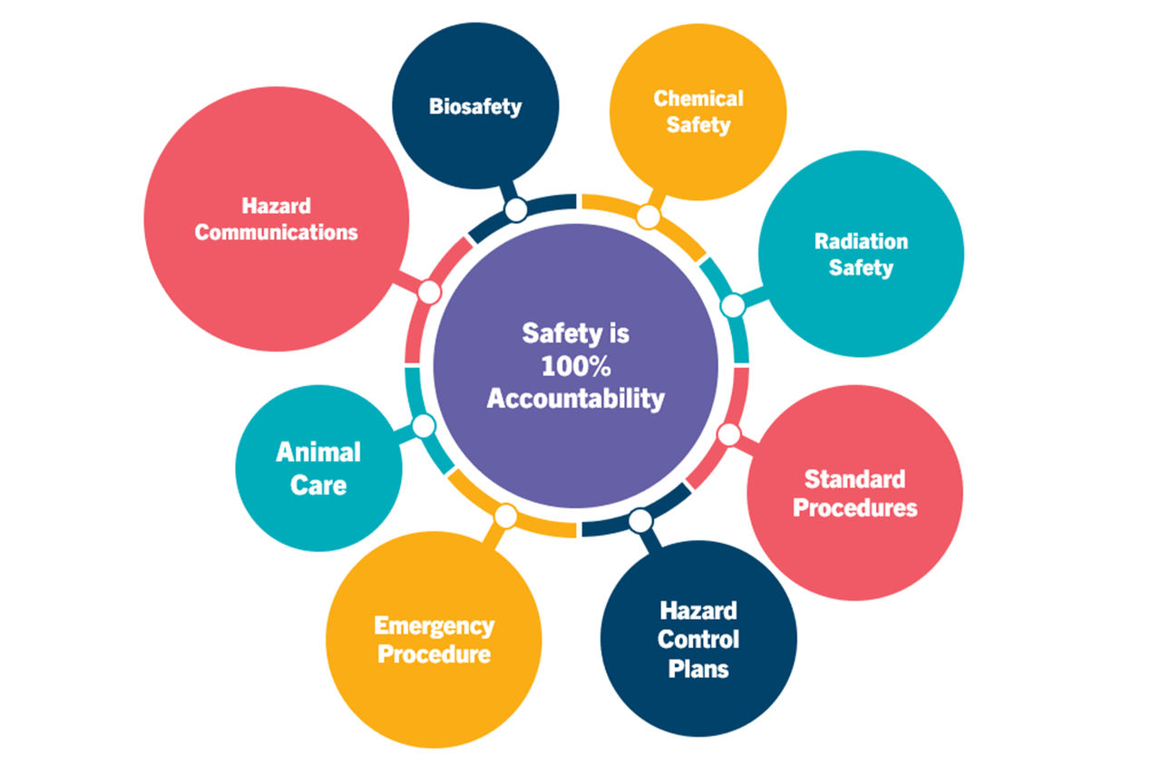 Safety is 100% Accountability