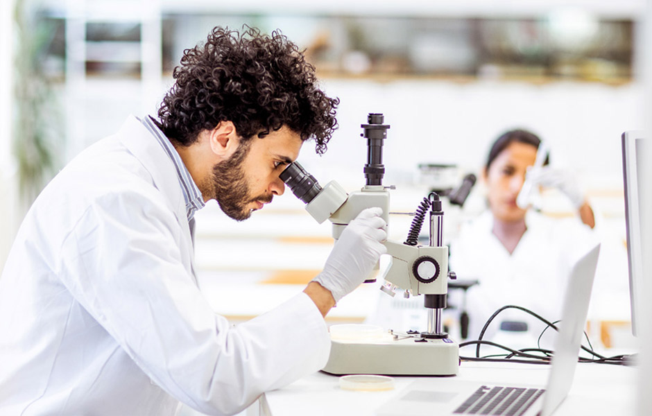 Two researchers in a lab wearing coats and gloves, one looks into a microscope. 