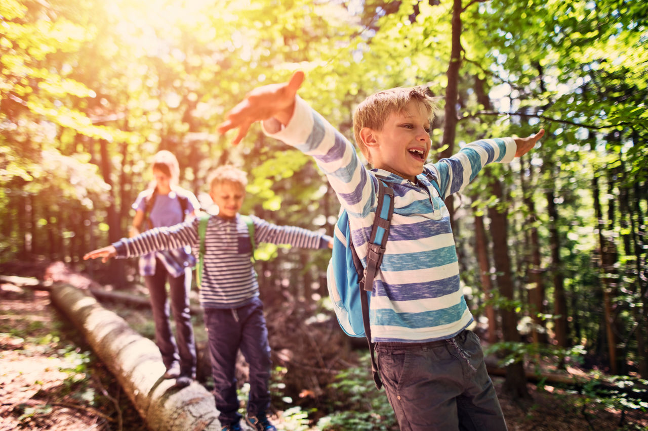 A group of young boys hiking together.