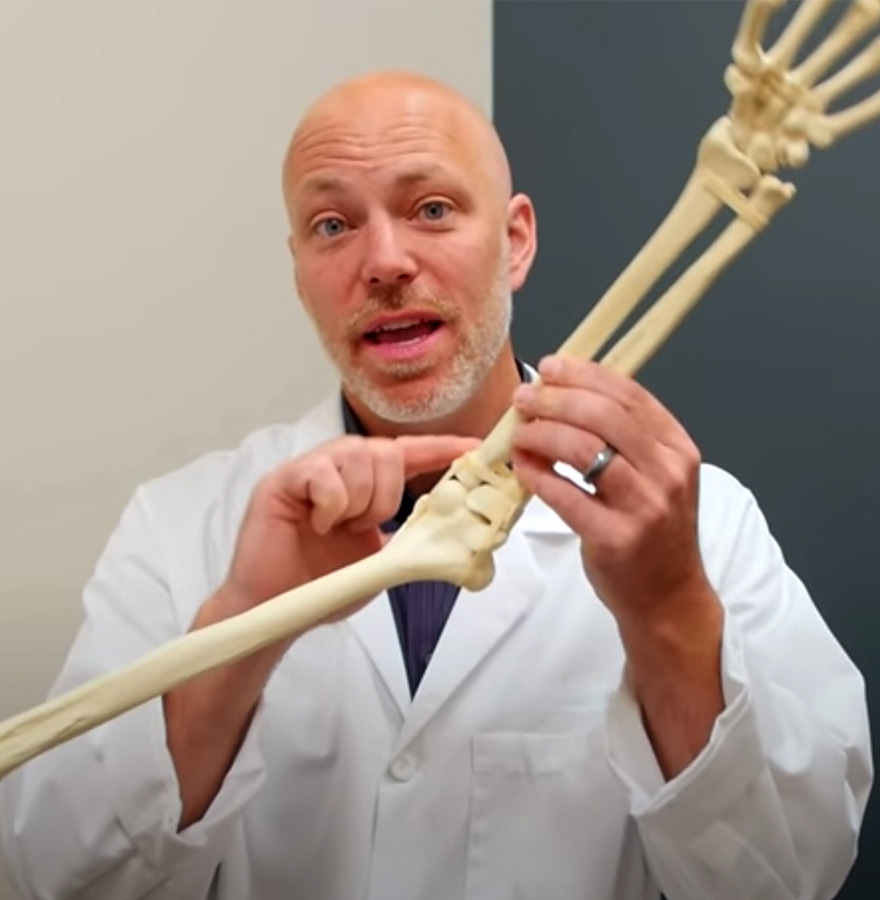 Male doctor in a lab coat holds up a skeleton arm for demonstration.