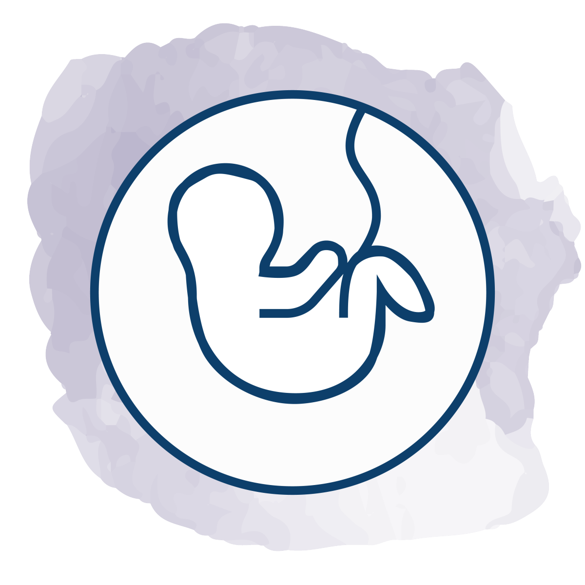 Maternal Fetal Medicine | Nemours Children’s Health