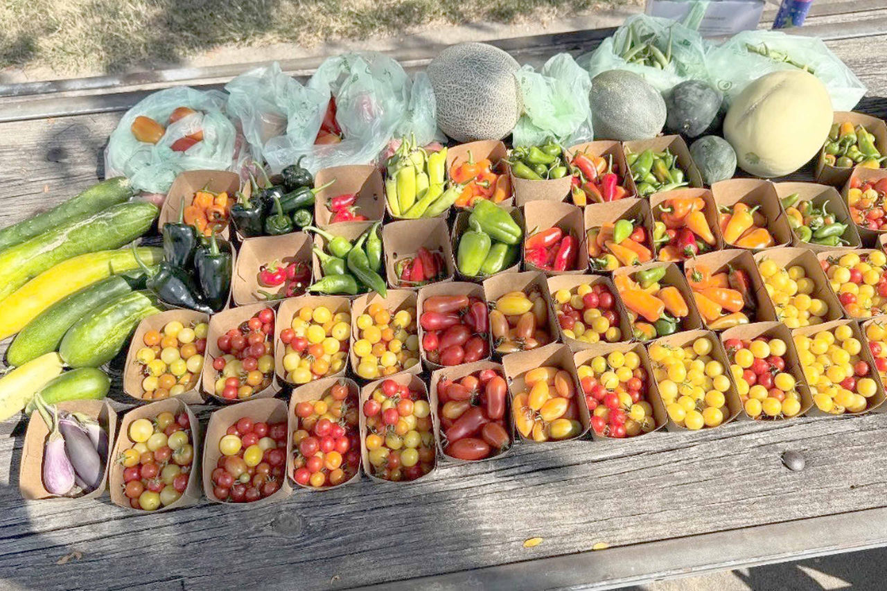 Fresh from our garden, straight to our neighbors